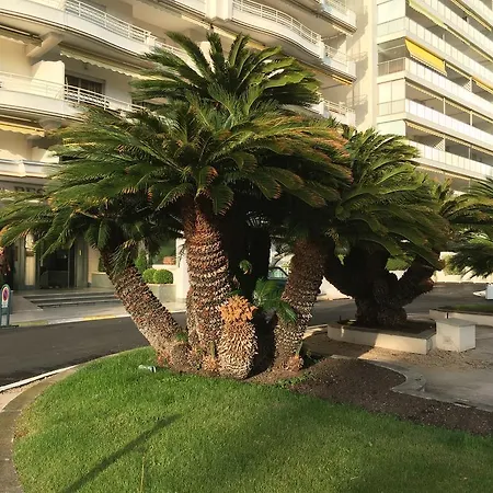 Sur Croisette Daire Cannes